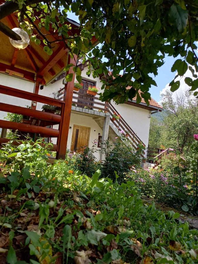 Apartment Sijakovic Mokra Gora Exterior foto