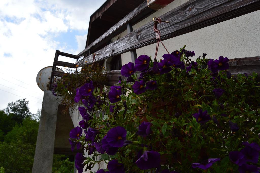 Apartment Sijakovic Mokra Gora Exterior foto