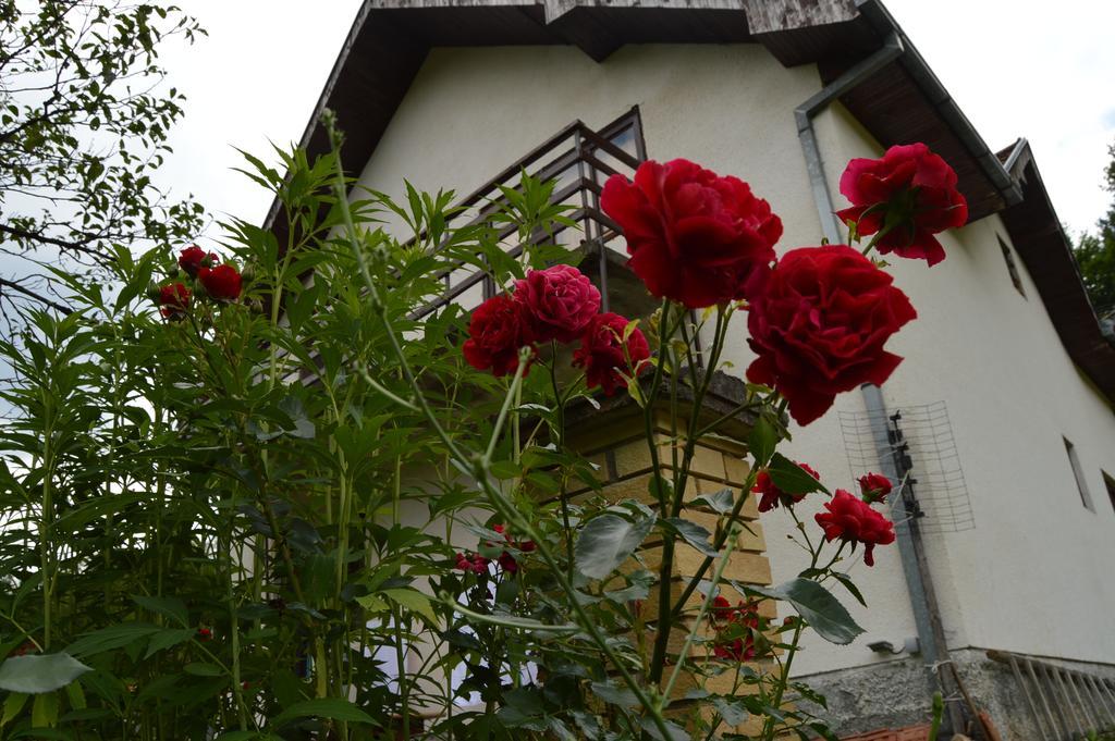 Apartment Sijakovic Mokra Gora Exterior foto